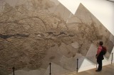 fossiele waterlelies in museum Hauff, Holzmaden