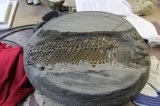 Fossiele vis uit een zgn broodje