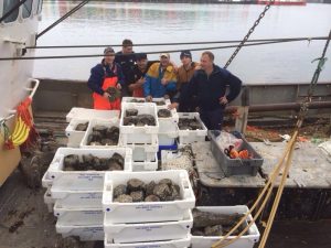 Klaas Post fossielen uit de westerschelde