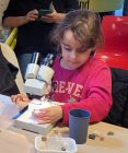 Gea workshop Natuurmuseum Friesland