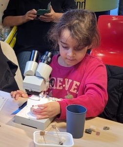workshop mineralen voor kinderen, Geakring Friesland