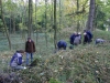 marmer bij groeve Hartenberg