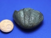 Trilobite Asaphus, pygidium