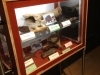 vitrine geologie Kring Friesland